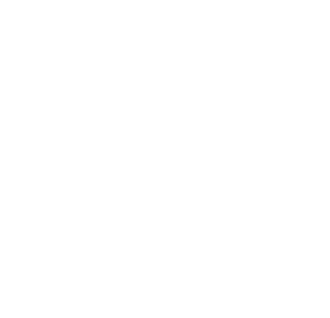 About – Wellspring Foundation of Southwest Virginia